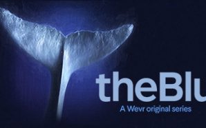 TheBlue Whale encounter